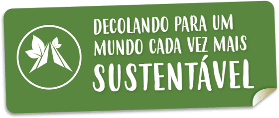 Decolando para um mundo cada vez mais sustentável